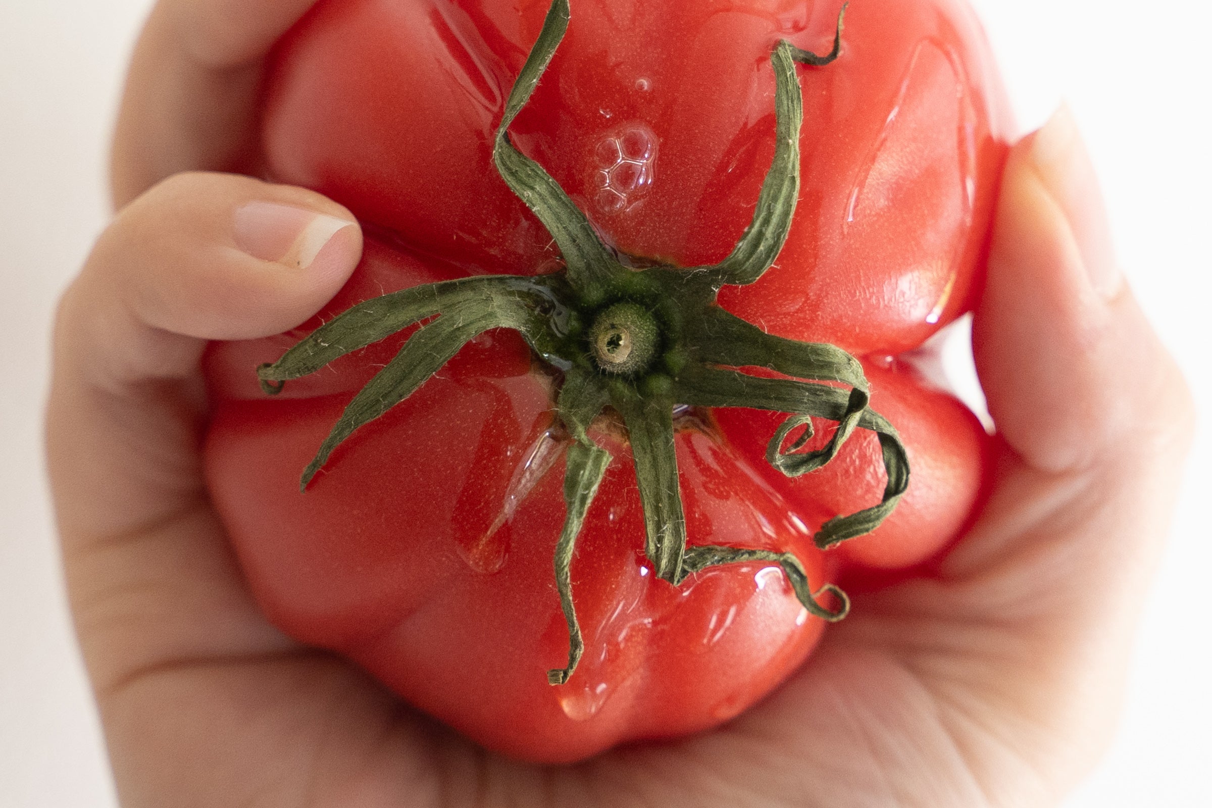 Suds with a Sustainable Twist: Meet Blossom & Sky’s Tomato and Strawberry Soaps